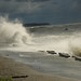 Scott Smalley Photo 47