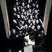 Martin Morel Photo 35