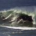 Darryl Brock Photo 34