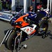 Douglas Paddock Photo 28