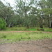 Frances Hughes Photo 40