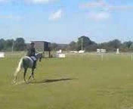 Cheryl Freed Photo 15