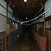Mark Torrence Photo 19