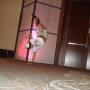 Ramona Ramirez Photo 23