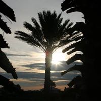 Justin Estep Photo 7