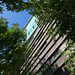 Steven Maynes Photo 15