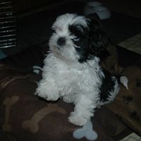 Charlene Wells Photo 5