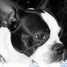 Judy Blue Photo 2