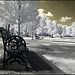 Louis Nichols Photo 41