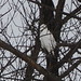 Jo Hawks Photo 17