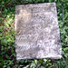 Martha Goodrich Photo 26