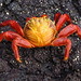 Sally Lange Photo 31