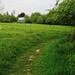 John Ha Photo 38