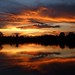 John Galasso Photo 31