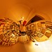 Harry Haller Photo 44