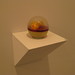 Glenn Goldberg Photo 31