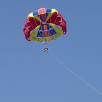 Scott Lester Photo 8