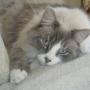 Stephanie Kincaid Photo 30