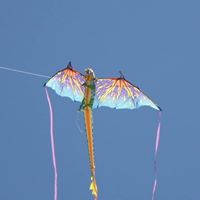 James Mcgonagle Photo 3