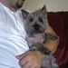 Steve Genovese Photo 13