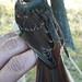 Roosevelt Sparrow Photo 17