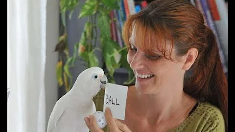 Jennifer Cunha Photo 22