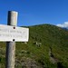 Harry Ridge Photo 24
