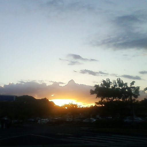 Rosalie Gutierrez Photo 10