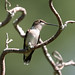Richard Murrell Photo 31