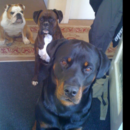 Kimberly Howie Photo 6