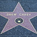 Allison Carey Photo 41