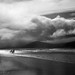 Kerry Wallace Photo 34