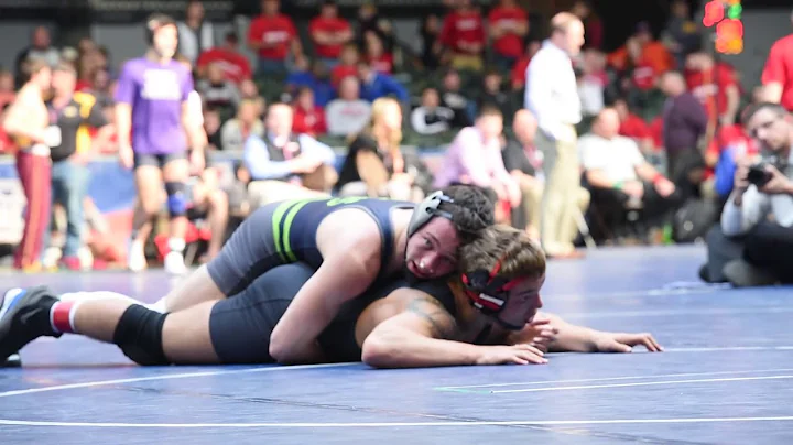 Casey Dobson Photo 23