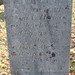 Jeremiah Holmes Photo 34