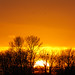 Allen Sun Photo 28