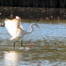 Rhonda Hines Photo 38