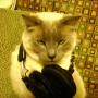 Dorian Gray Photo 29