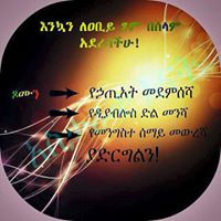 Dawit Abebe Photo 3