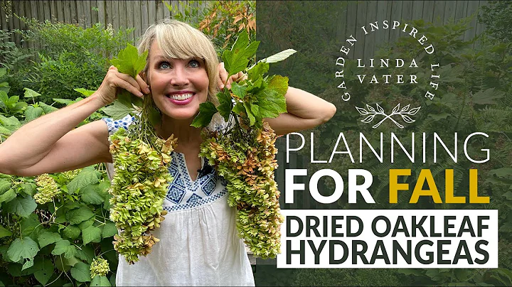 Linda Oak Photo 10