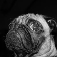 Allan Childers Photo 3