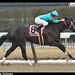 Joe Stake Photo 14