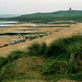 Thomas Currey Photo 24