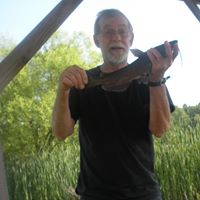 Raymond Johnston Photo 5