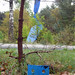 Donna Mueller Photo 43