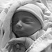 Dominic Ferrante Photo 26