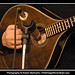 Dee Harris Photo 37