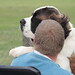 Gracie Word Photo 11