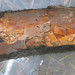 Ivory Banks Photo 25