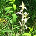 Kevin Plant Photo 37