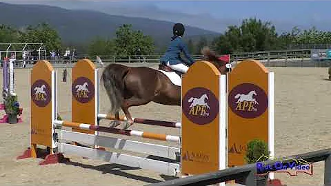 Sue Roth Photo 29